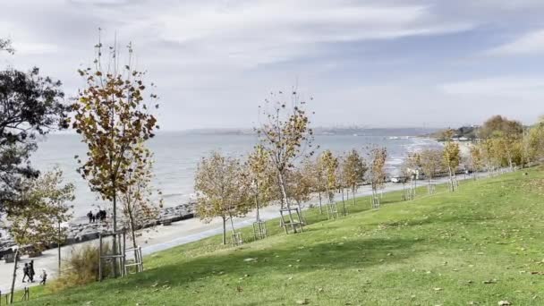 Estambul Turquía Noviembre 2021 Vista Mar Mármara Desde Parque Público — Vídeo de stock