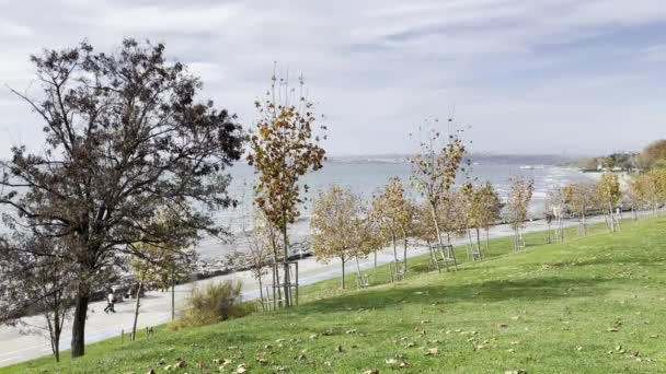 Istanbul Turquia Novembro 2021 Vista Mar Mármara Parque Público Florya — Vídeo de Stock