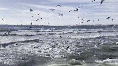 İstanbul 'da sonbahar mevsiminde Marmara Denizi' nde yoğun dalgalar bulutlu havada