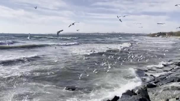 Intensive Wellen Marmarameer Bei Trübem Wetter Herbst Istanbul — Stockvideo