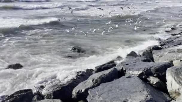 Olas Intensas Mar Mármara Con Clima Nublado Otoño Estambul — Vídeos de Stock