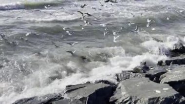 İstanbul 'da sonbahar mevsiminde Marmara Denizi' nde yoğun dalgalar bulutlu havada