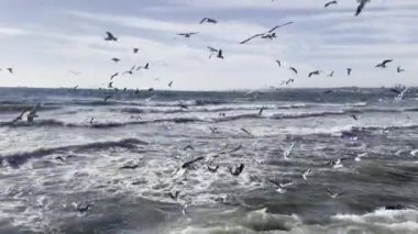 İstanbul 'da sonbahar mevsiminde Marmara Denizi' nde yoğun dalgalar bulutlu havada