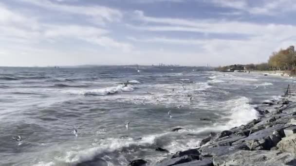 Florya Stambuł Turcja Listopada 2021 Intensywne Fale Morzu Marmara Pochmurną — Wideo stockowe