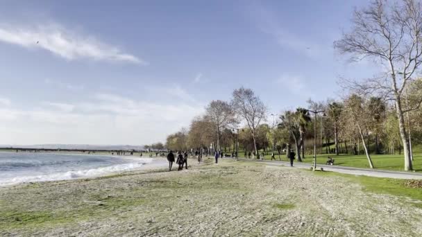 Florya Istanbul Turquia Novembro 2021 Ondas Intensas Mar Mármara Clima — Vídeo de Stock
