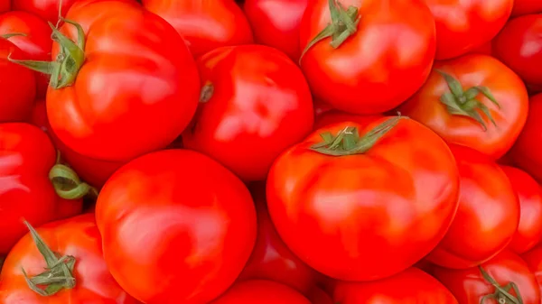 Pomodori Close Pronti Vendita Mercato — Vettoriale Stock