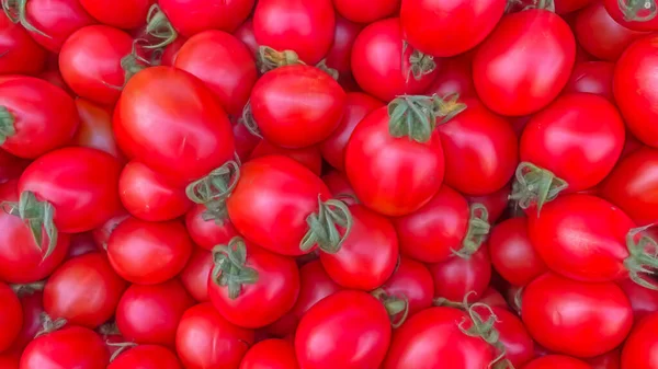 Nahaufnahme Tomaten Bereit Für Den Verkauf Auf Dem Markt — Stockvektor