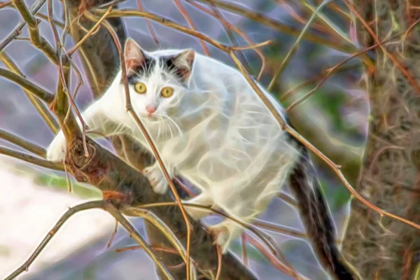 White Cat Climbing Tree Nature — Stock Photo, Image