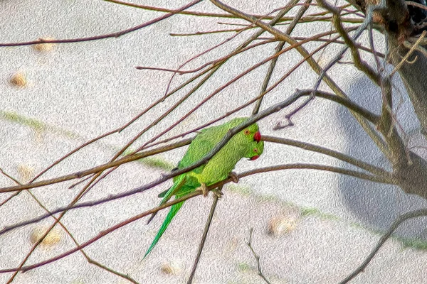 Zelený Papoušek Větvi Stromu Přírodě — Stock fotografie