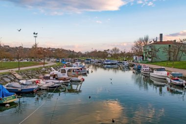 İstanbul, İstanbul 'da Menekşe ve Menekşe Deresi' nde 6 Aralık 2021 