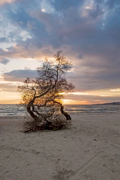 Istascar Turchia Dicembre 2021 Tramonto Marmara Vista Mare Sulla Spiaggia — Foto Stock