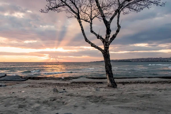 Istanbul Turquía Diciembre 2021 Vista Mar Puesta Del Sol Mármara — Foto de Stock