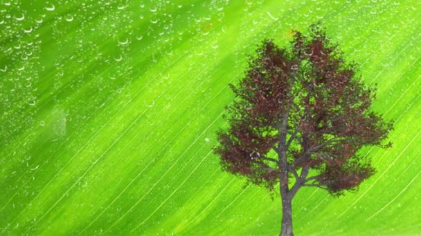 Yeşil Doğa Mevsimler Ağaçlar Doğanın Oksijen Kaynağı — Stok video