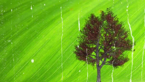 Grön Natur Årstider Och Träd Naturens Syrekälla — Stockvideo