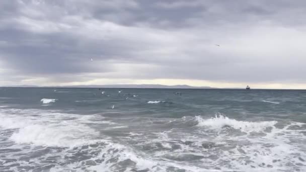 Onde Sulla Spiaggia Nella Stagione Invernale Tempo Nuvoloso Mare Marmara — Video Stock