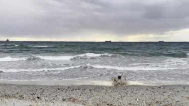 Kış mevsiminde sahilde dalgalar ve İstanbul 'daki Marmara Denizi' nde bulutlu hava.