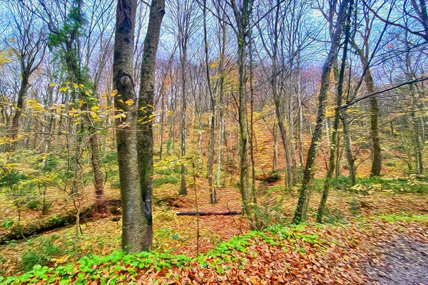 Skog Natur Och Höstlandskap — Stockfoto