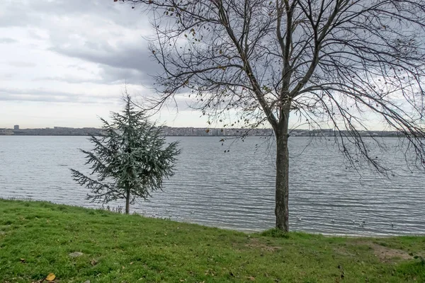 Avcilar Istanbul Turquía Diciembre 2021 Vista Del Parque Público Pasaeli — Foto de Stock