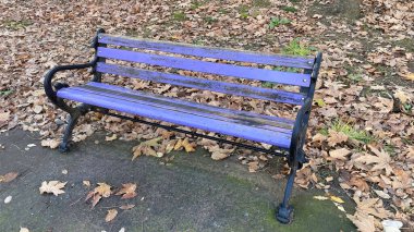 Sonbahar sezonunda parkta renkli bir bank