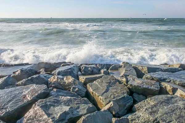 Seashore Cliffs Heavy Waves Winter Season — Stockfoto