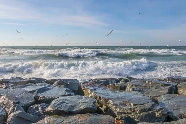 Seashore Cliffs Heavy Waves Winter Season — Stockfoto