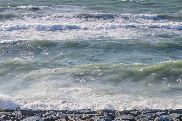 Deniz Kıyısı Kayalıklar Kış Mevsiminde Şiddetli Dalgalar — Stok fotoğraf