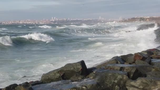 Southwest Heavy Waves Marmara Sea Winter Season Istanbul Turkey — Wideo stockowe