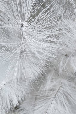 yakın çekim noel süslemeleri