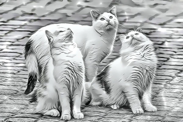 Close Cat Portrait Nature Cartoon Effect — стоковое фото