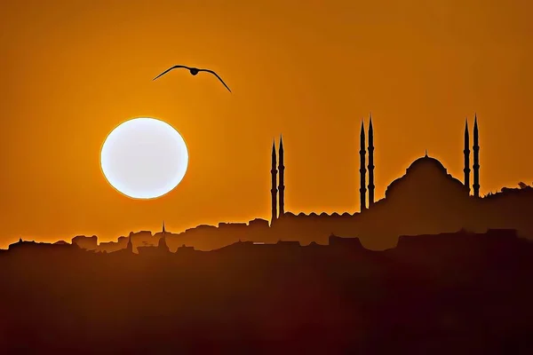istanbul,Turkey-January 14,2022.The dream city between the continents of Europe and Asia, Istanbul. Cityscape and touristic sights of istanbul with cartoon effect. 