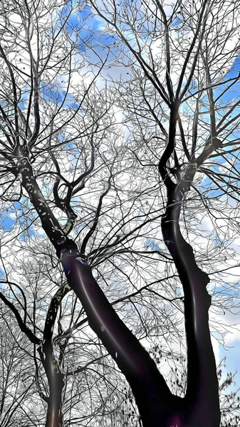 Branches Contre Ciel Bleu Dans Nature — Photo