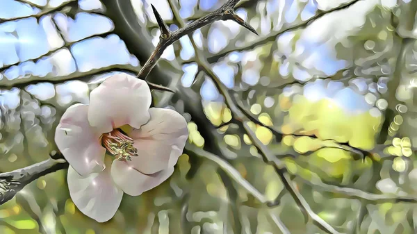 Fermez Les Fleurs Printanières Sur Les Branches Des Arbres Hiver — Photo