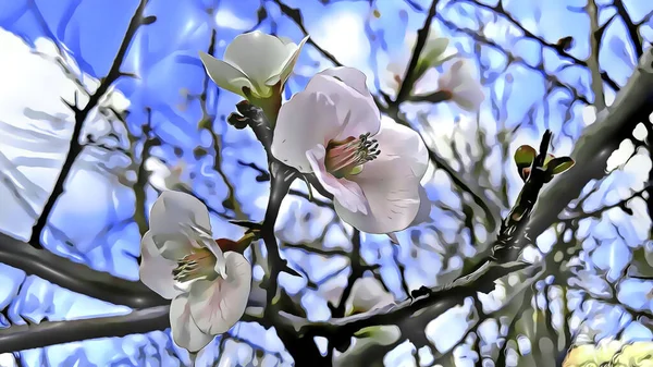 Nahaufnahme Frühlingsblumen Auf Ästen Winter Mit Cartoon Effekten — Stockfoto