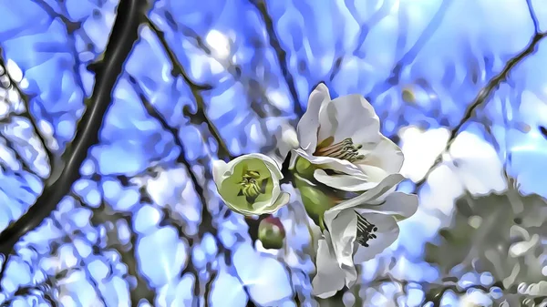Feche Flores Primavera Galhos Árvore Estação Inverno Com Efeitos Desenhos — Fotografia de Stock
