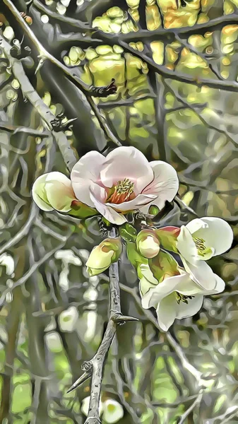 Feche Flores Primavera Galhos Árvore Estação Inverno Com Efeitos Desenhos — Fotografia de Stock