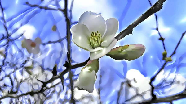 Κλείστε Ανοιξιάτικα Λουλούδια Κλαδιά Δέντρων Κατά Χειμερινή Περίοδο Εφέ Κινουμένων — Φωτογραφία Αρχείου