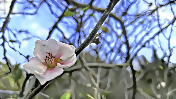 Cerrar Flores Primavera Las Ramas Los Árboles Temporada Invierno Con —  Fotos de Stock