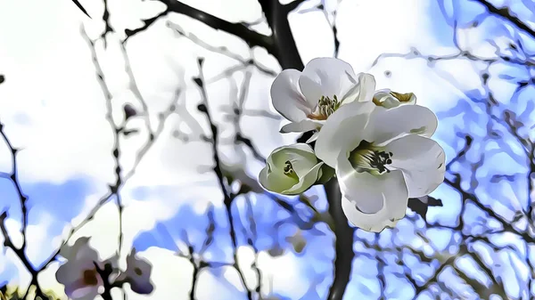 冬の木の枝に春の花を漫画効果で閉じます — ストック写真