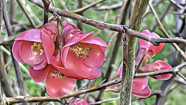 Närbild Våren Blommor Träd Grenar Vintersäsongen Med Tecknade Effekter — Stockfoto
