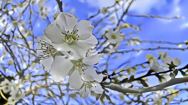 Fermez Les Fleurs Printanières Sur Les Branches Des Arbres Hiver — Photo