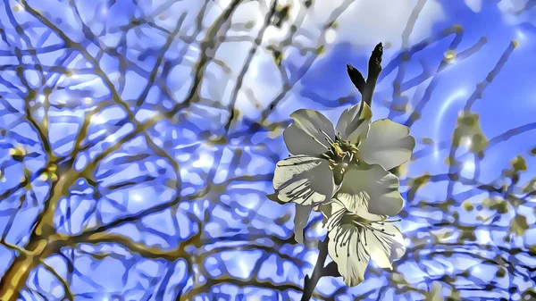 冬季关闭树枝上的春花 并制作卡通片 — 图库照片