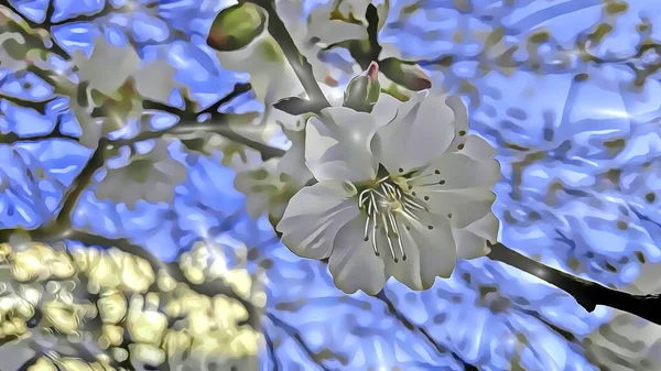 Närbild Våren Blommor Träd Grenar Vintersäsongen Med Tecknade Effekter — Stockfoto