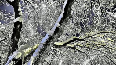 Karla kaplı dallar doğada çizgi film etkisi yaratıyor.