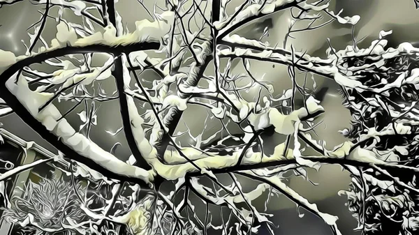 Karla Kaplı Dallar Doğada Çizgi Film Etkisi Yaratıyor — Stok fotoğraf