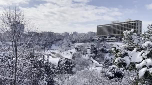 Macka Estambul Turquía Enero 2022 Vista Nieve Desde Estambul Nieve — Vídeo de stock