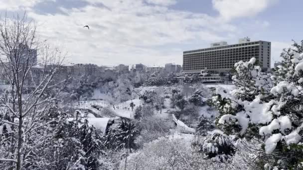 Macka Estambul Turquía Enero 2022 Vista Nieve Desde Estambul Nieve — Vídeo de stock