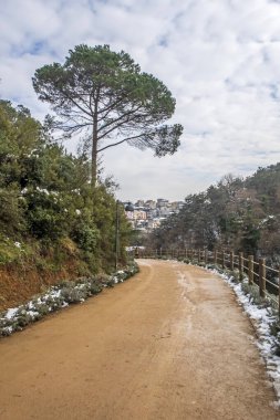 İstanbul, Türkiye-28 Ocak 2022 İstanbul Ormanları. Kış mevsiminde Atatürk şehir ormanlarından gelen doğal güzelliklerle dolu kar manzarası