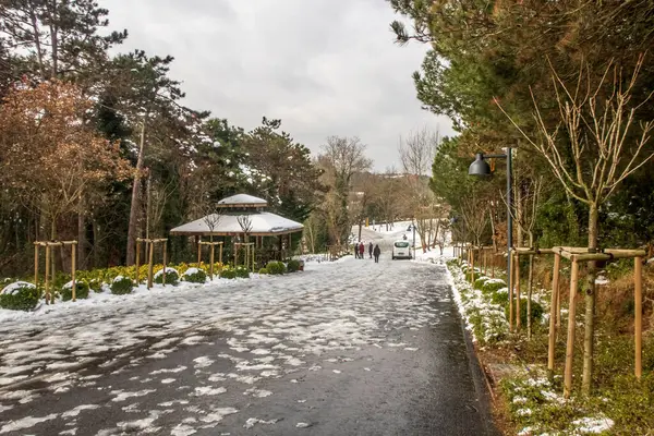 Istanbul Turquía Enero 2022 Bosques Istanbul Vista Nieve Con Bellezas — Foto de Stock