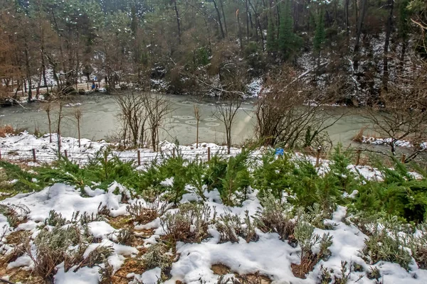 Stambuł Turcja Stycznia 2022 Lasy Stambułu Widok Śniegu Pięknem Przyrody — Zdjęcie stockowe