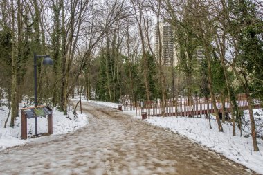 İstanbul, Türkiye-28 Ocak 2022 İstanbul Ormanları. Kış mevsiminde Atatürk şehir ormanlarından gelen doğal güzelliklerle dolu kar manzarası